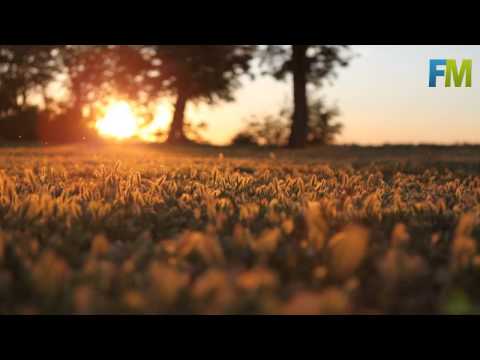 Anushka De'sai - Far & Close (Original Mix)