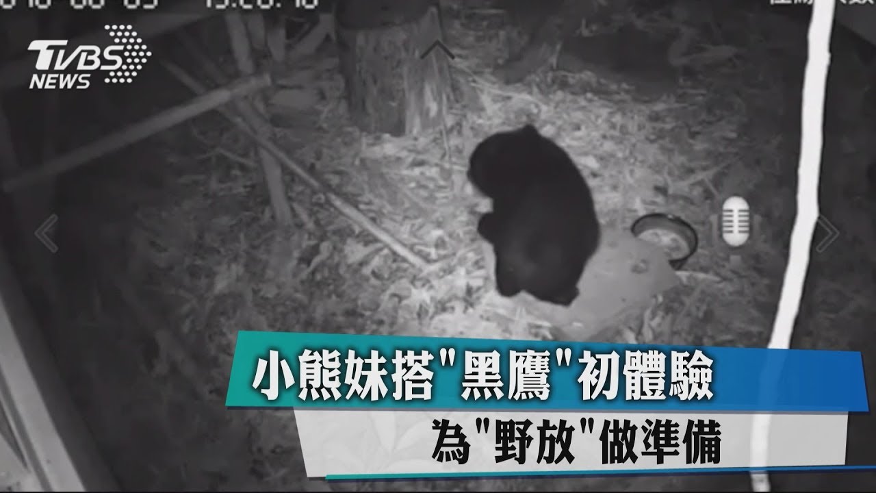 「小熊妹」搭黑鷹初體驗 為野放做準備