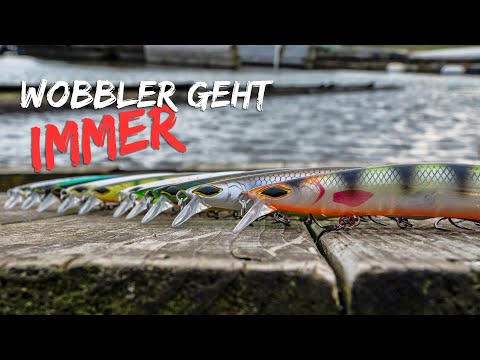 Die einfachste Art Zander zu fangen - Wobbler geht immer