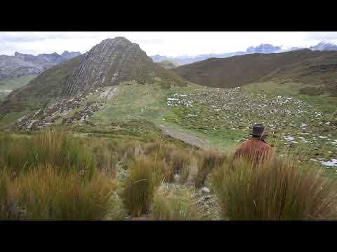 ANDES DEL PERÚ | PUNA PALMADERA - HUALLANCA | BOLOGNESI ANCASH