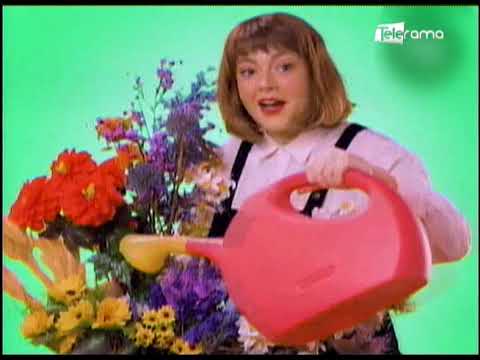 Caíste: Por San Valentín van a prohibir la venta de flores del árbol genealógico