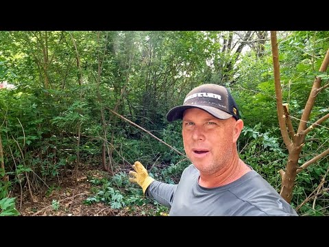 NEGLECTED OVERGROWN LAWN Hasn't Been Touched In Years, Oddly Satisfying TRANSFORMATION