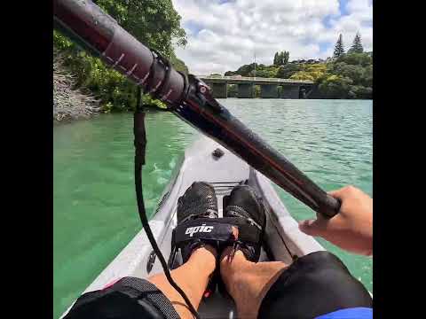Nice paddle by Purewa bridge #surfski #kayaking #paddler #newzealand