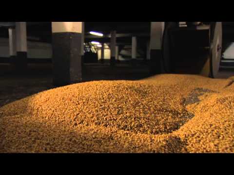 Laphroaig Distillery Tour - Malt Floors