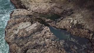 Rockaway Beach Or