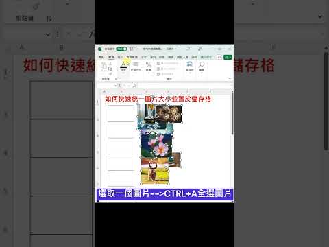 如何快速統一圖片大小並置於儲存格 #EXCEL教學 #EXCEL #shorts