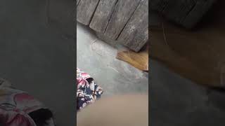 Download lagu 18 Februari 2022 mp3