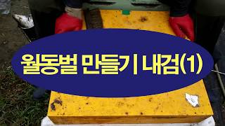 월동벌 만들기 내검(1), 산란여부, 사양관리, 봉군 압축, 질병관리