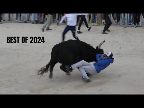 BEST OF SAISON 2024 - ABRIVADO/BANDIDO-ENCIERRO/COURSE AU PLAN - LONGUE