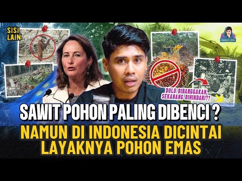 WHY IS PALM OIL HATED BY EUROPE BUT LOVED BY INDONESIA? THIS IS HISTORY...