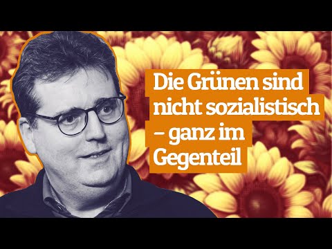 Mit Kinderbuchweisheiten kann man nicht Wirtschaftsminister sein | Bernd Stegemann