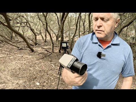 B&W 100 ISO Comparison – Shadows – Ilford FP4 Plus – Shanghai GP3 100 – Lucky SHD 100 – Fomapan 100