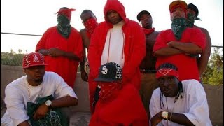 Lincoln Park Bloods and 59brims vs Skyline Piru/Ofarrell park and West coast crips/Rolling 40s video