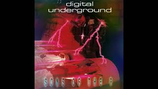 Digital Underground – Kiss You Back