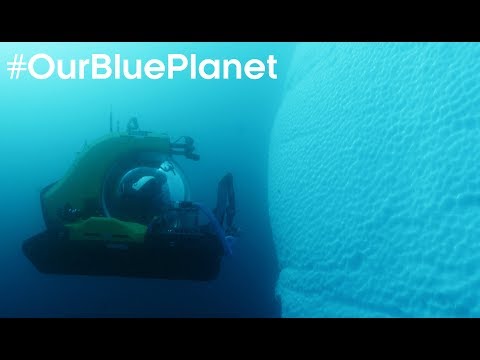 1000m beneath the Antarctic ice, where no human has gone before