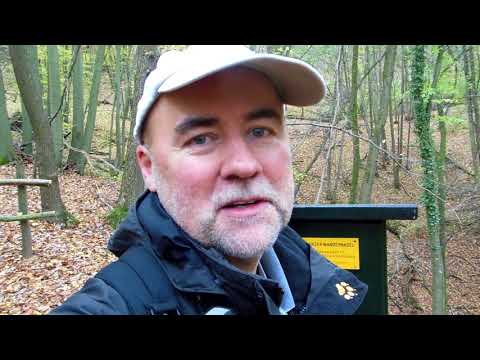 Stempelstelle 214 Reesbergdoline Alter Stolberg - Harzer Wandernadel