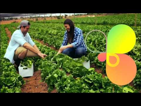 AGRO TV - Agromatinal (promo)