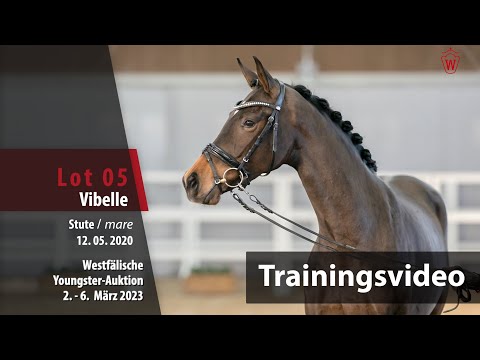 Youngster-Auktion Training Lot 05 Vibelle Stute v. Vaderland - Fidermark