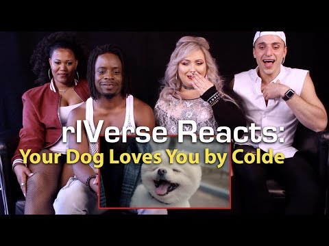 rIVerse Reacts: Your Dog Loves You by Colde (feat. Crush) - M/V Reaction