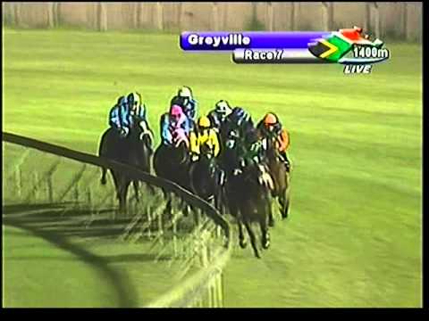 2013-03-29 Greyville - race 7