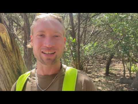 Play Video Youtube Video