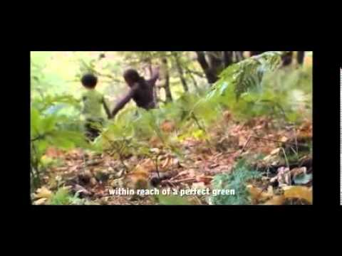 Arquitetura da Ecologia