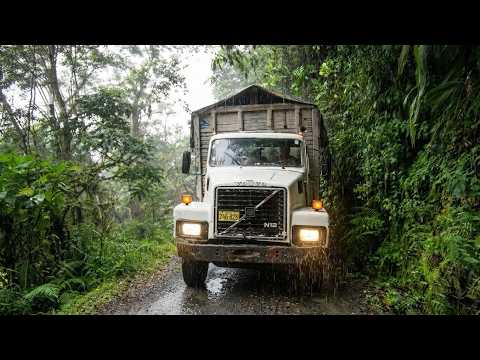 Peru, the Jungle's Curse | Deadliest Journeys