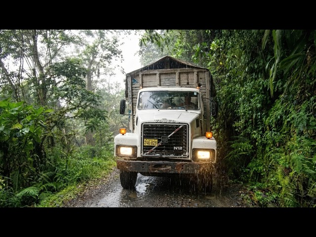 Peru, the Jungle's Curse | Deadliest Journeys SDDEFAULT Thumbnail
