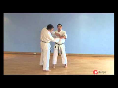 Karate - Intro to Goju-Ryu basics - punches and blocks
