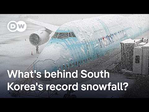 韓國百年來最大暴雪造成至少 4 人死亡 (South Korea: At least 4 dead in heaviest November snowfall on record | DW News)