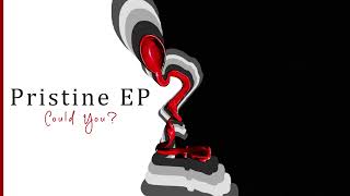 TheSillyDJ - Could You?