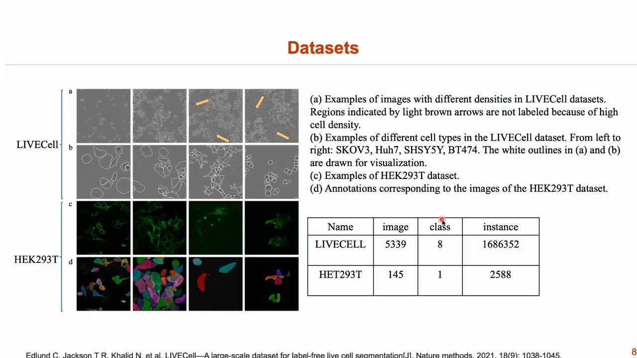 SCTS: Instance Segmentation of Single Cells Using a Transformer-Based Semantic-Aware Model and Spac