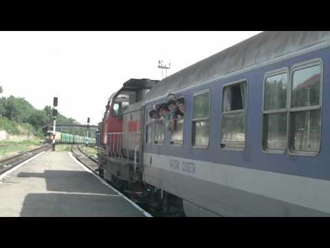 Plecarea lui VladyMetalistu la mare