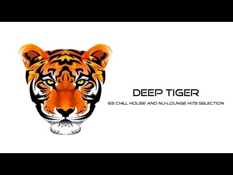 Plasma - Guliver Stone - DEEP TIGER - 65 chill house and nu-lounge hits selection
