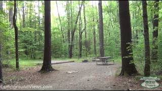 Cataloochee Campground Video