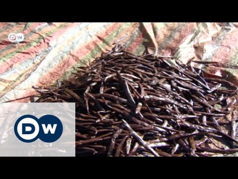 Der Duft der Vanille | Wirtschaft