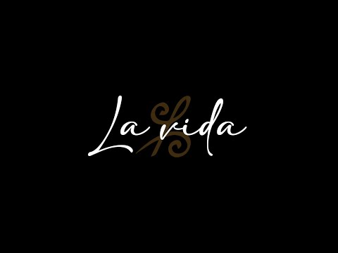 BooDee - La vida (Visualizer)