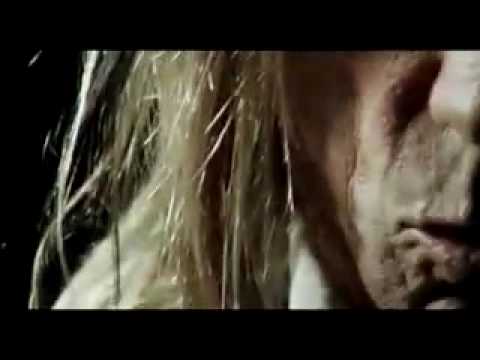 Teddybears - Punkrocker (feat. Iggy Pop)