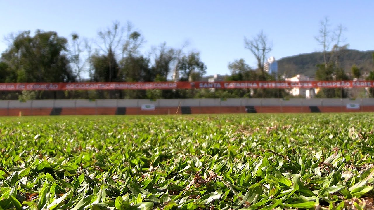 Empresa responsável já começou a trabalhar no gramado do Alfredão