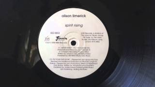 Alison Limerick - Never Knew (Joe T Vannelli Silk Mix)
