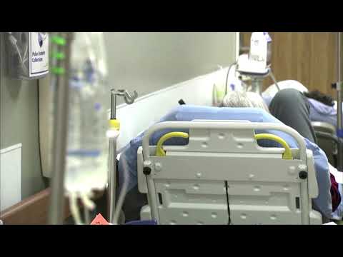 美國疾控中心稱，英國冠狀病毒變種可能在3月前成為美國的主流病毒。 (UK coronavirus variant could be dominant in U.S. by March, CDC says)