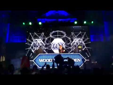 TranceFusion 2015 - Woody van Eyden (Full HD)