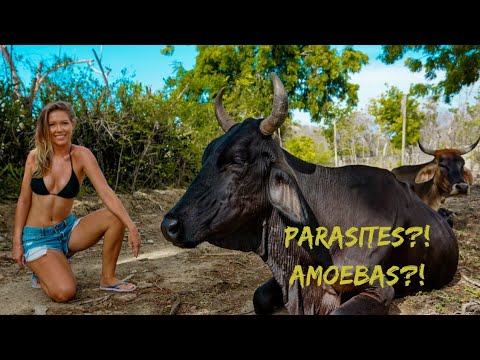 Boat Life Ep.12 One reality of sailing to a developing country