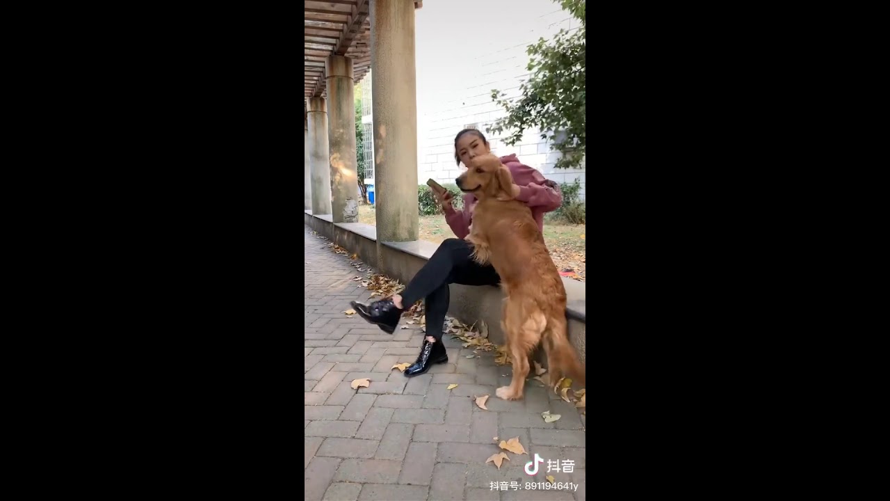 Quanto mais conheço as pessoas, mais eu gosto do meu cachorro.