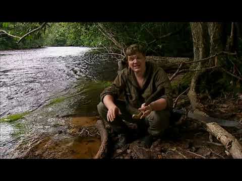 Ray Mears' Bushcraft S01E02 Jungle Camp