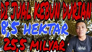 Download lagu 8.5 HECTARE DURIAN ORCHARD #cahngaritproperty mp3