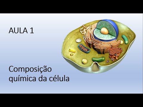 Aula 1 - Composição química da célula