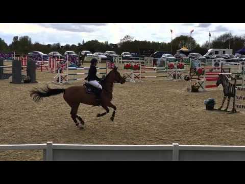 Heidi IV - Chepstow CSI* Gold Tour - April 2016