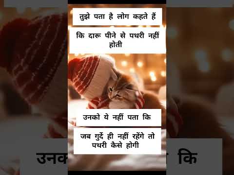 #funny #comedy #youtubeshorts #ytshort #cat#daaru#drink#trendingshort #funny