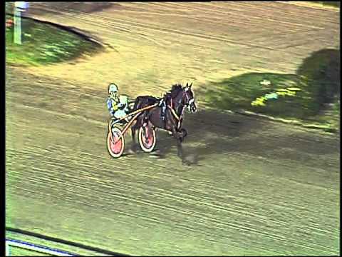 Trotto 05/11/2015 - 2 prova di riqualifica